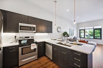 Modern kitchen with dark wood cabinets and stainless steel appliances